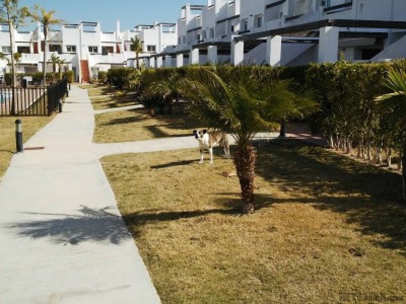 2 Bedrooms - Apartment - Murcia - For.. - 2