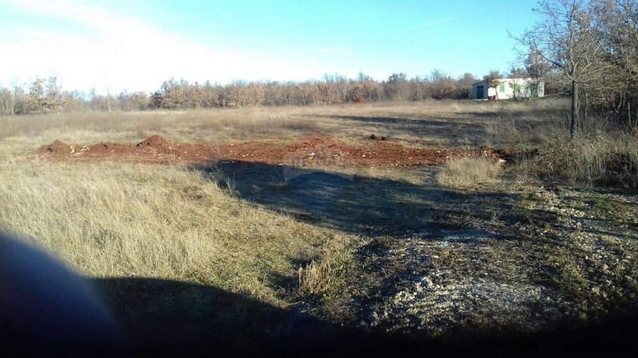 Građevinski Teren, Stancija Čabrunići 7000m2 - 6