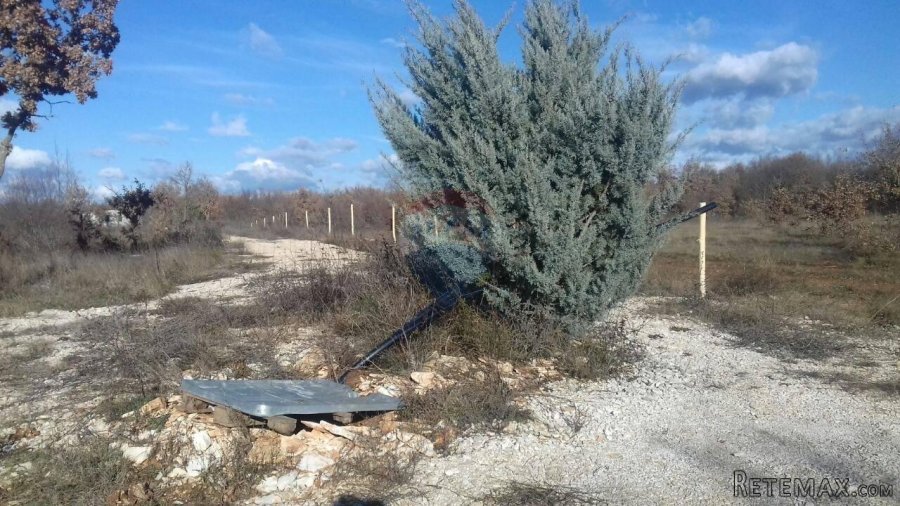 Građevinski Teren, Stancija Čabrunići 7000m2 - 7