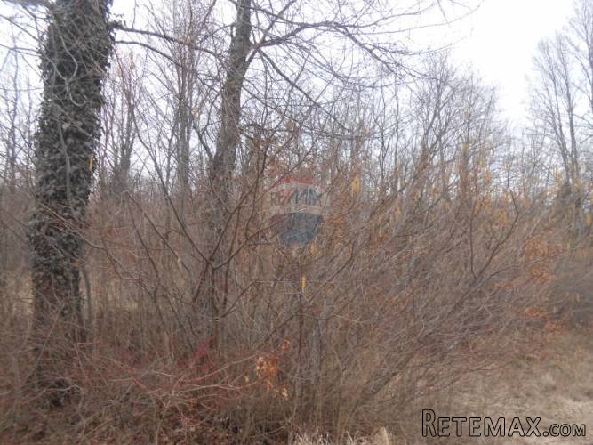 Istra, Žminj, veliko građevinsko zemljište u srcu Istre