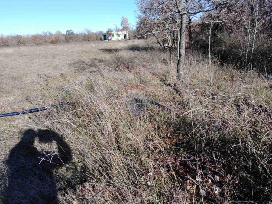 Građevinski Teren, Stancija Čabrunići 7000m2 - 8