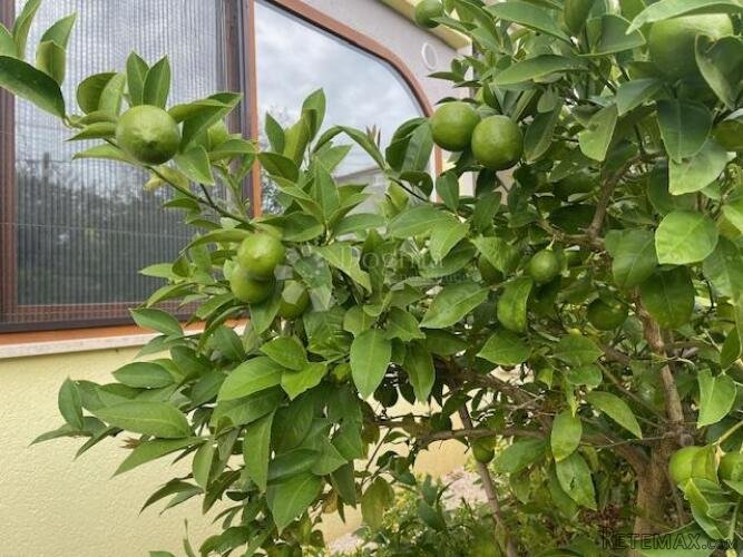 ETAŽA KUĆE SA DVA APARTMANA - 2