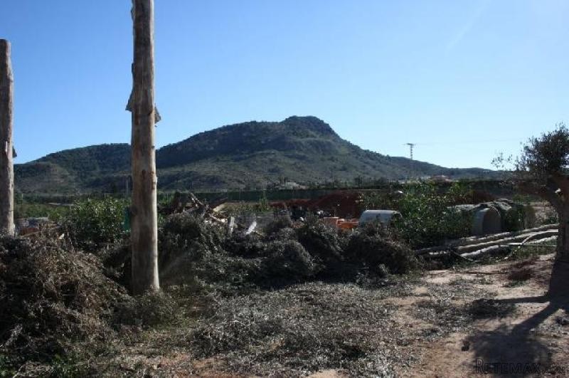 Finca, Las Barracas