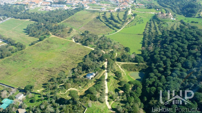Real estate land