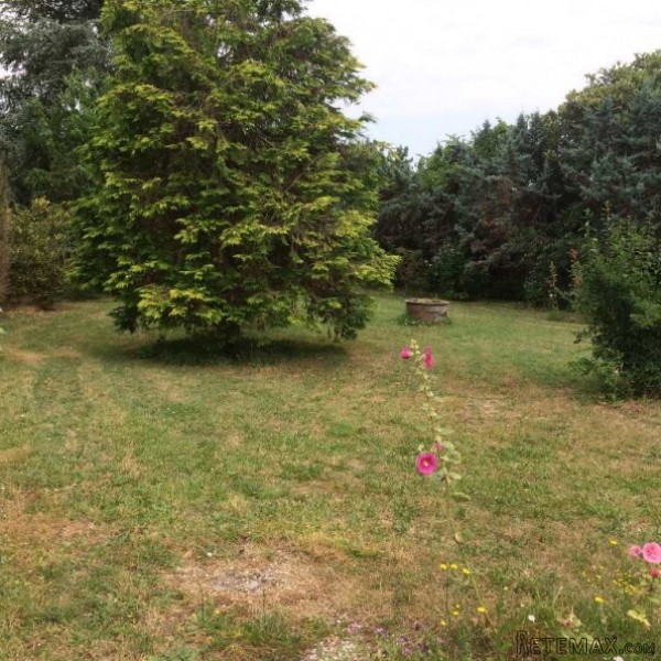 4 Bedrooms - Maison - For Sale - 2