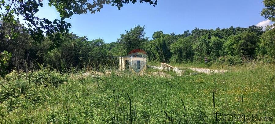 Istra, Pavičini-građevinsko zemljište 687m2 - 3