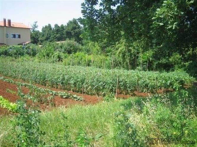 Istra, Umag- Građevinsko zemljište 400m od mora