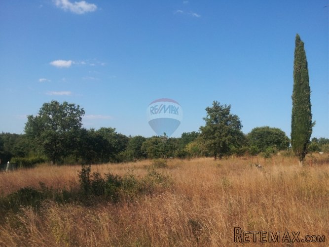 ISTRA, GRAĐEVINSKO ZEMLJIŠTE 2916 m2 S POGLEDOM NA PRIRODU