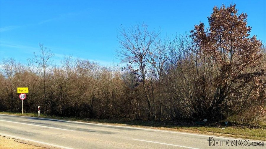 Istra,Bijažići-Građevinsko zemljište u mirnom okruženju - 2