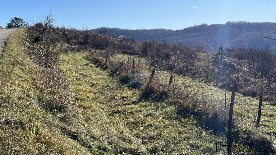 Motovun - okolica, građevinsko-poljoprivredno zemljište pred - 3