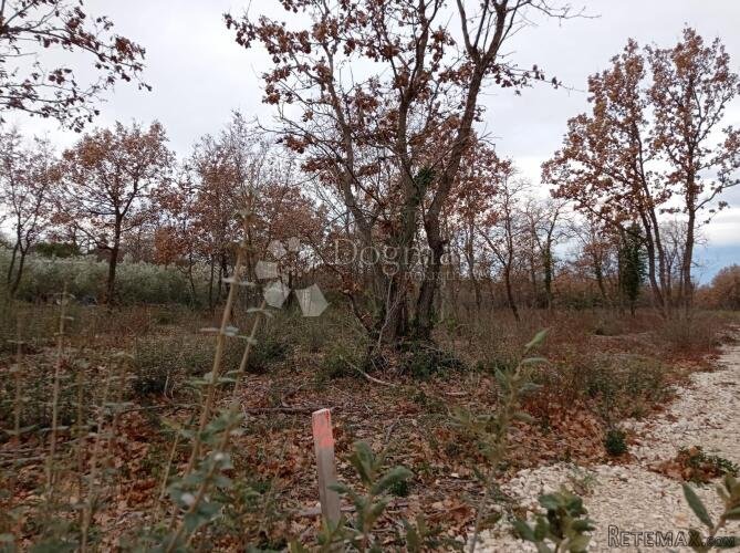 Zemljište na lijepoj lokaciji 2km od mora - 2