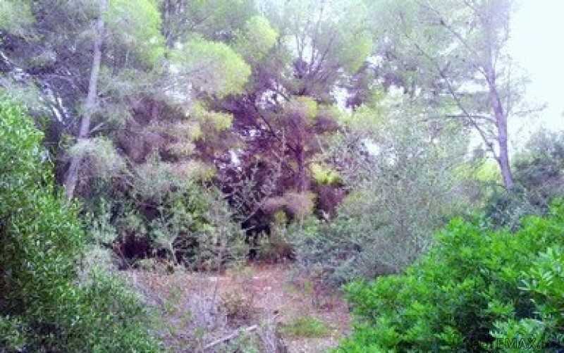 Plot for sale in Nova Santa Ponsa -..