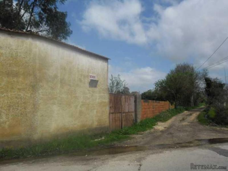 Farm For Sale - Aveiro - 2