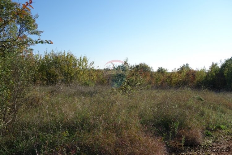 Istra, Kanfanar, građevnsko zemljište gopodarske namjene - 5