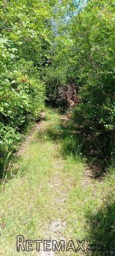 Istra,Gradina,Sveti Lovreč,poljoprivredno zemljište - 2