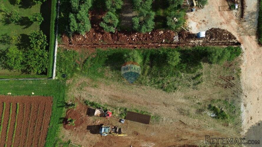 Istra, Tar - Građevinsko zemljište za izgradnju više stamben - 3