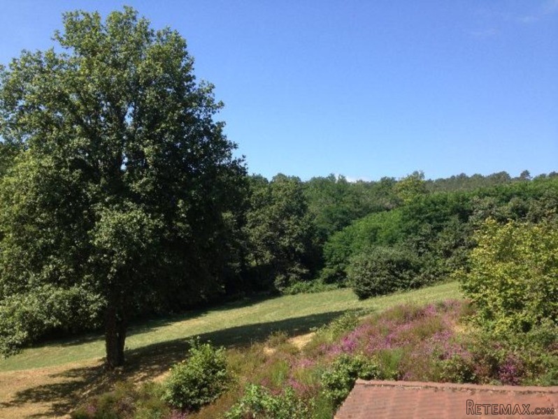 County Cottage Set On 4.5 Hectares Of.. - 2