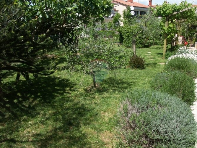 Istra, Fažana- Samostojeća kuća sa dvorištem, 600m od mora - 4