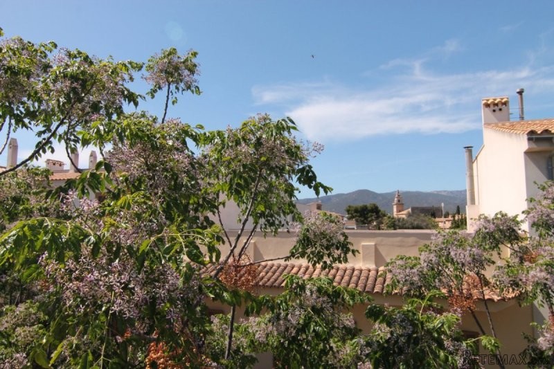Spacious townhouse with garage, garden..