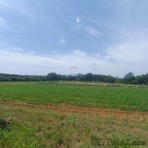 Sveti Lovreč, okolica, građevinski teren za investitore - 2