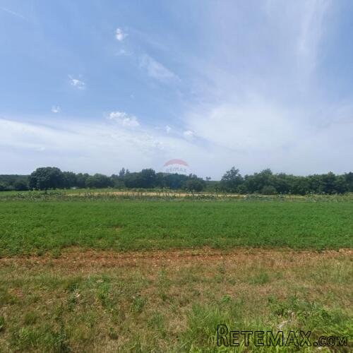 Sveti Lovreč, okolica, građevinski teren za investitore - 3