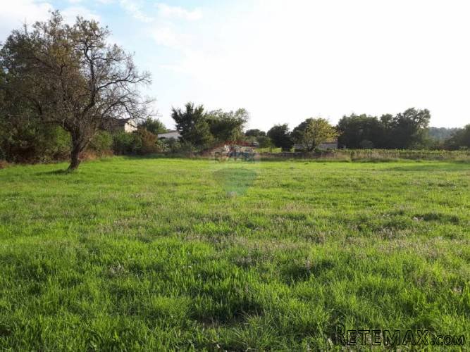 VODNJAN, SV.KIRIN, ZEMLJIŠTE SA DOZVOLOM ZA GRADNJU - 3