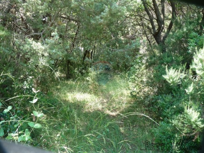 DUGA UVALA, zemljište od 475 m2 za vikendicu - 3