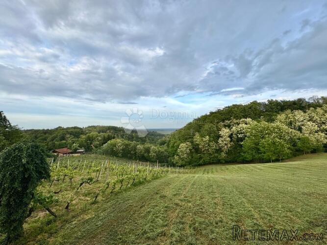 Građevinsko zemljište s vinogradom i panoramskim pogledom –
