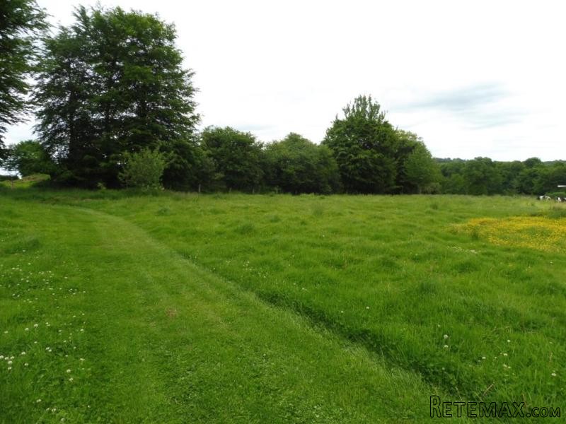 Country House on Over One Hectare - 2