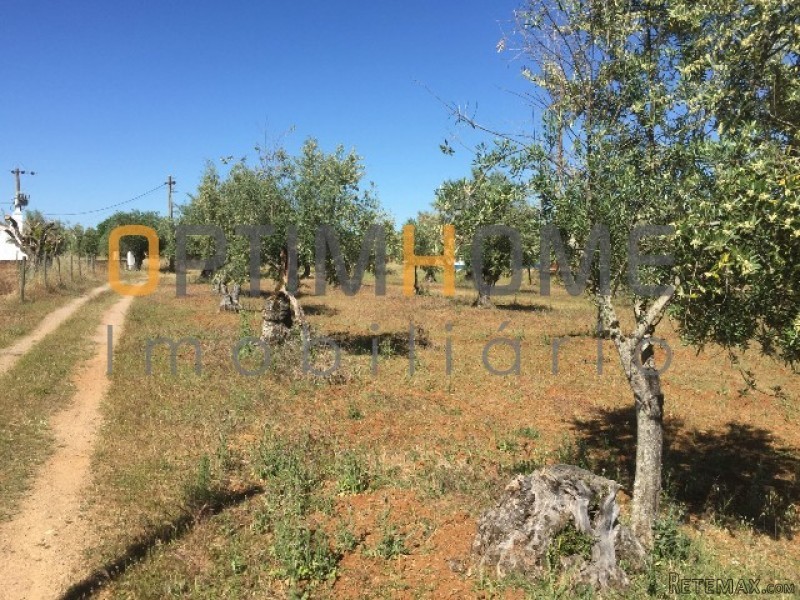 5 Bedrooms Farm For Sale - Portalegre - 2