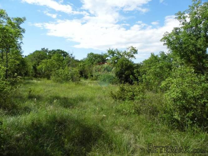 Istra - Bale - poljoprivredno zemljište 65.000 m2 - 3