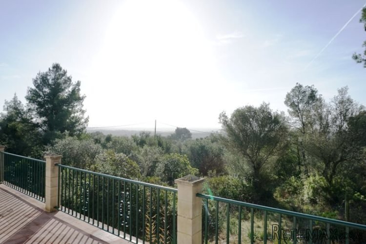 An opportunity to own 2 independent houses on a rustic land.. - 2
