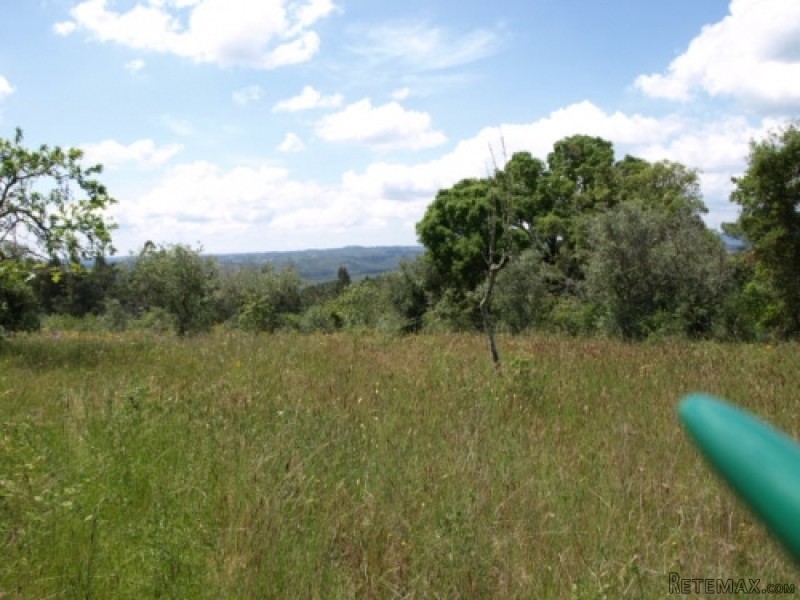 Building Plot For Sale Near Alvaiazere