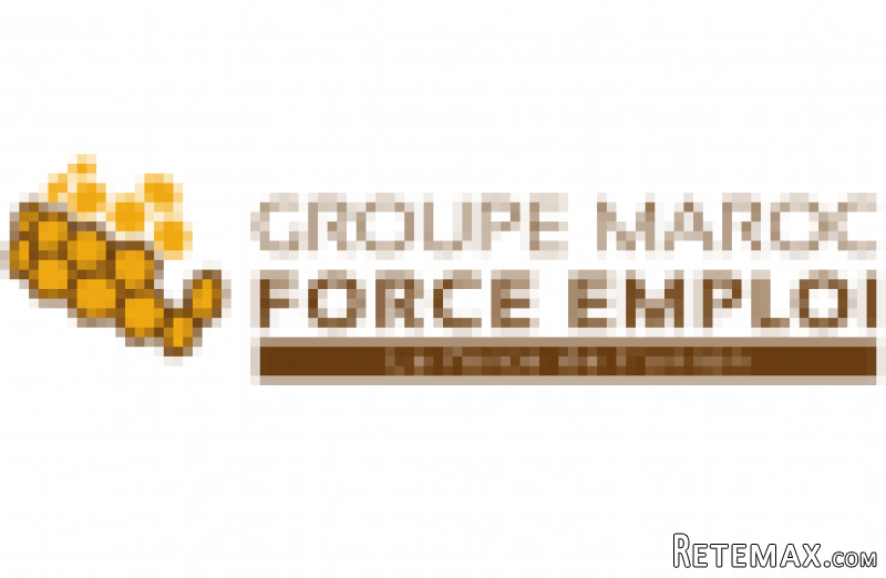 Chef d'Equipe BTP