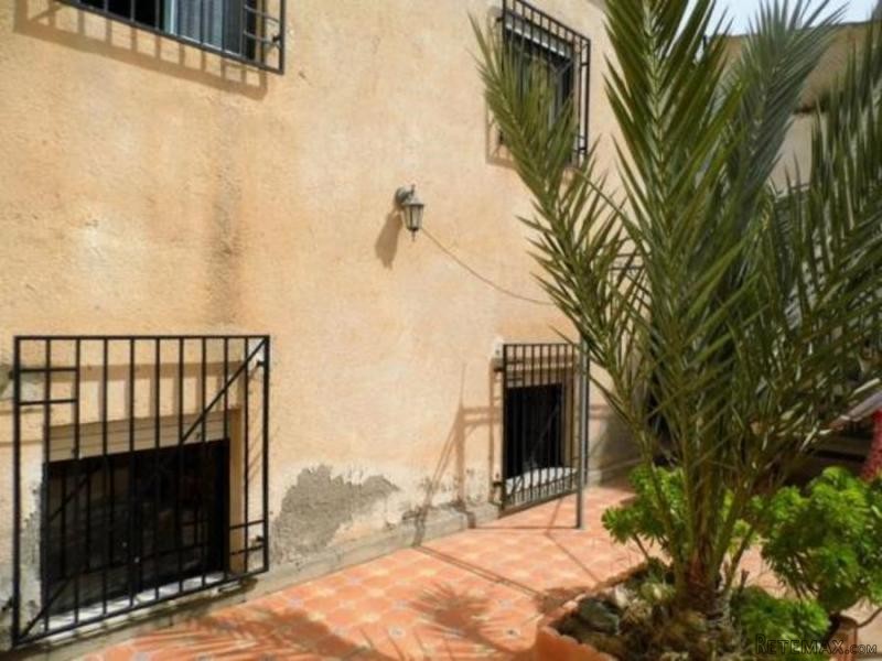Town House / Village House in Arboleas - 2