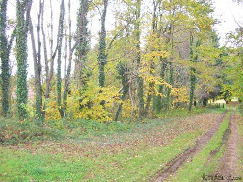 Building Land Close To All Amenities In.. - 2