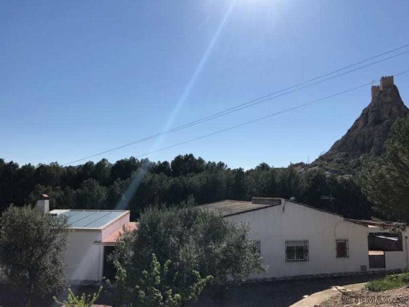 Unique town residence, 5bed 3bath.. - 2