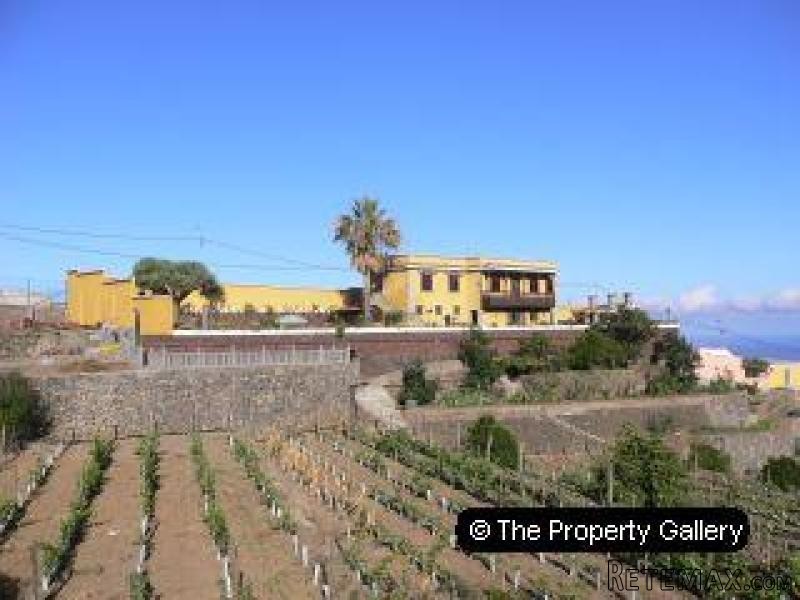 Farm For Sale in Icod, Tenerife