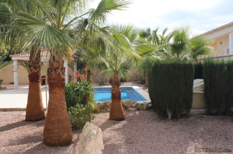 Hondon De Las Nieves - Stunning.. - 2