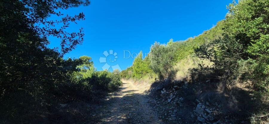 Poljoprivredno zemljište drugi red od mora – Dingač