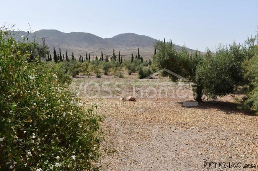 NEW & EXCLUSIVE LISTING FOR VOSS HOMES - A truly.. - 10