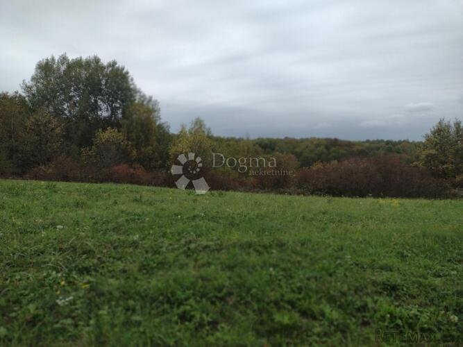 Šuma uz 2 potoka - 3