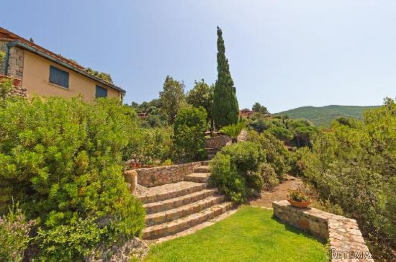 Property - Tuscany - For Sale - 2