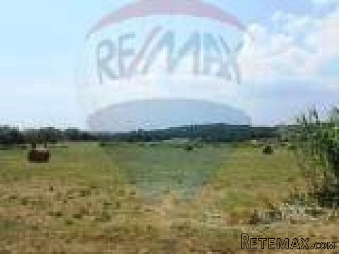 Istra, okolica Pule,građevinsko zemljište u predgrađu Pule - 3