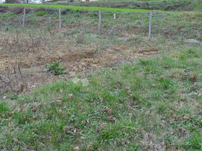 Vrh - teren samo za znalce istančanog ukusa - 3