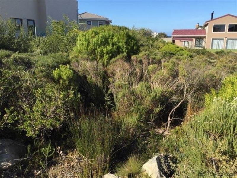 Bettys Bay Vacant Land, Bettys Bay - 2