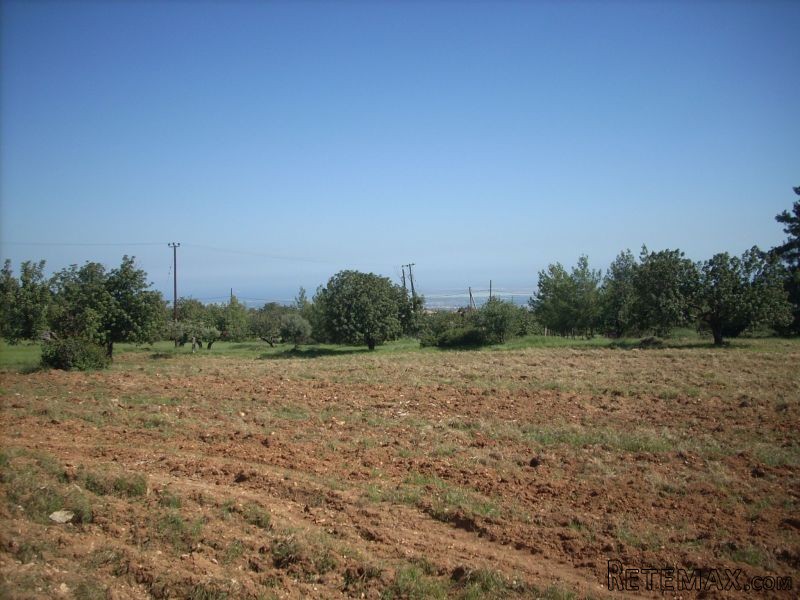 Residential Land for Sale in Souni - 2