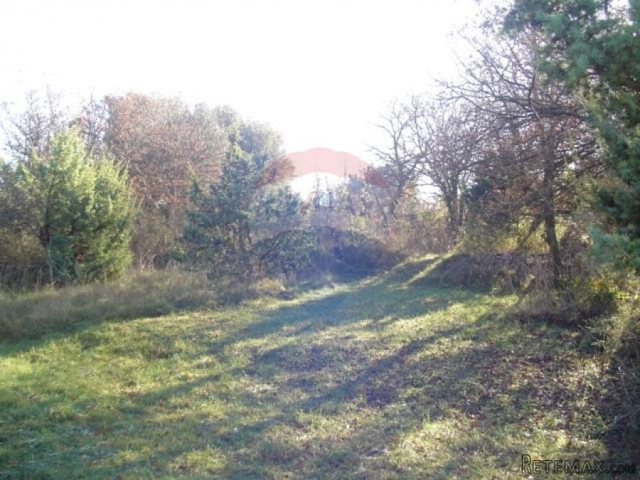 OTOK KRK,POLJOPRIVREDNO 4000M2 - 5