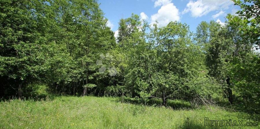 Poljoprivredno zemljište u Liču – 2.935 m², mirna lokacija