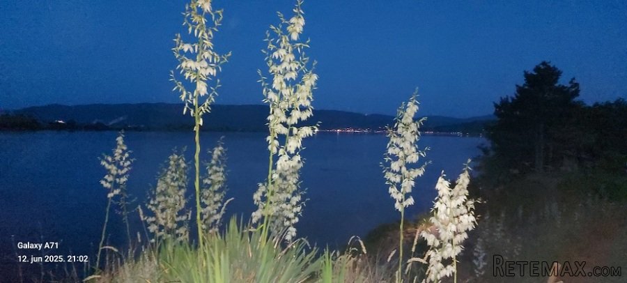 Prodaje se stambeni-vikend objekat,Vinci-Golubac - 26